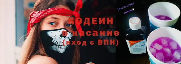 ECSTASY Инсар
