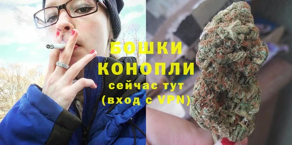 ECSTASY Инсар