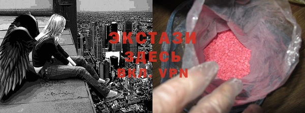 ECSTASY Инсар